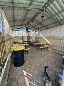 Одеська область, Білгород-Дністровський