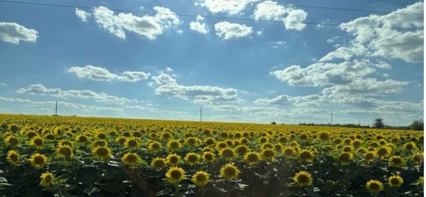 Дніпропетровська область, Дніпрове