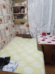 Сумська область, Суми