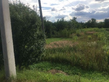 Рівненська область, Великий Шпаків