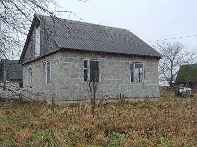 Рівненська область, Дуби