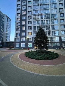 Київська область, Буча