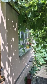 Полтавська область, Кременчук