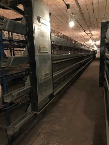 Продам птахофабрику в с. Новий Мерчик