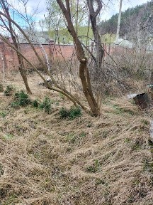 Львівська область, Винники