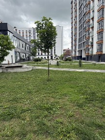 Оренда приміщення ( Липки ) Мазепи