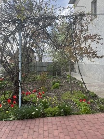 Оренда приміщення під медичний центр, клініку, приватну школу