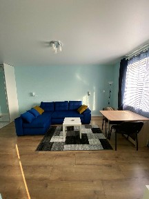 Аренда 1-комнатной квартиры 36 м², Академика Павлова ул., 158/1