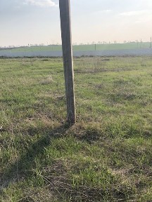 Кіровоградська область, Олександрія