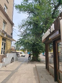 Дніпропетровська область, Степне