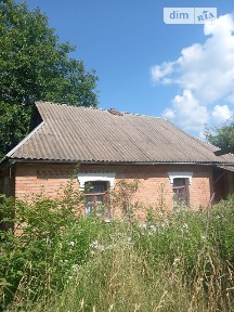 вулиця Соборна, Вороновиця, вул. Соборна 203 • ID 34563801