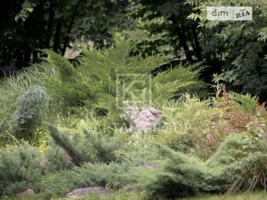 Стоянка, СТ Ірпінь 12 • ID 34563658