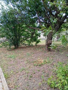 +Сдам дом ул. Славгородская 15000гр + ком услуги Запорожье Левое
