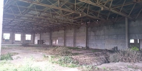 Київська область, Бровари