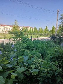 Житомирська область, Звягель
