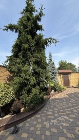 Запорізька область, Запоріжжя, Олександрiвський