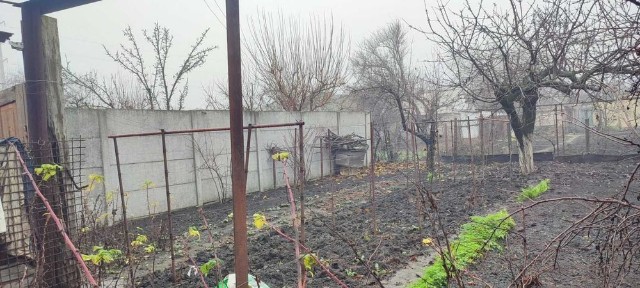 Запорізька область, Вільнянськ