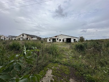 Продам ферму в с. Живачів від Власника, споруди 20,400м2, 16,1га землі