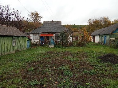 Київська область, Тараща
