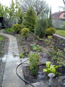 Дніпропетровська область, Курилівка