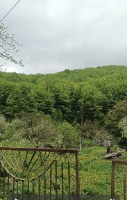 Продається будинок в Карпатах.