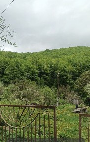 Продається будинок в Карпатах.