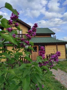 Київська область, Ненадиха
