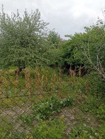 Продаю! Дача в Житловій зоні. Зем. Участок4сот. Світло. Вода. Прописка