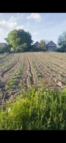 Господарська садиба з власним озерцем - Торчин