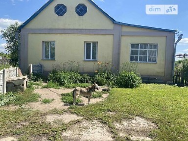 Продаж 1 поверхового будинку бесідка і ділянкою на 17 соток, 85 кв. м, 4 кімнати, на вул. Миру 42 • ID 34567752