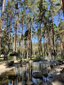 Київська область, Ірпінь