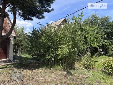 Рибаче масив, Петрик, мас. Рибаче • ID 34570650