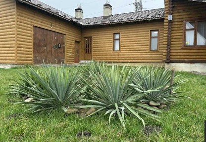 Тепло, простір та природа продається будинок мрії у с. Залуква, Галицький район!
