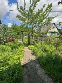 Продам Дачу/ Будинок, 6 соток, СТ АГРО с. Чубинське