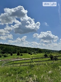 Дачна вулиця, Прибузьке (Шкуринці), вул. Дачна • ID 32798122