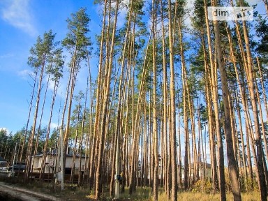 Гостомель, Соборності • ID 32031287