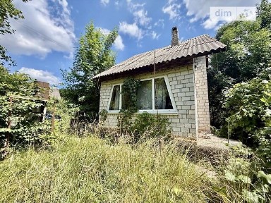 Петрик, СТ Верба • ID 34574873