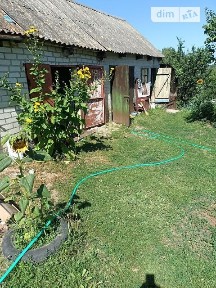 Продаж 1 поверхового будинку з опаленням 40 кв. м, 2 кімнати, на вул. Європейська 14 • ID 34573761