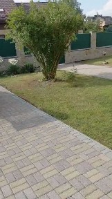 Оренда будинку с. Зимна Вода
