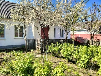 Продам будинок в предмісті Житомира