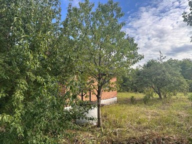 Продається Дача 35м² + 5 соток у Підрясне (рн. Рясне Руська), межа зі Львовом | 10 хв до міста, сосновий ліс.