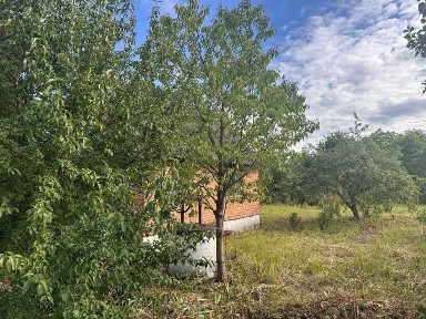 Продається Дача 35м² + 5 соток у Підрясне (рн. Рясне Руська), межа зі Львовом | 10 хв до міста, сосновий ліс.