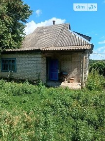 Петрозагір'я, Героїв Маріуполя • ID 34575399