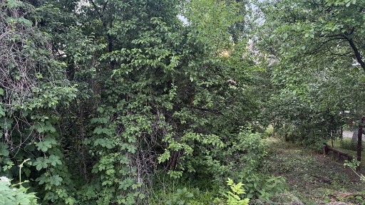 Ділянка 17 соток зі старим будинком, вул. Заремби (Радянська) біля Голосіїського парку