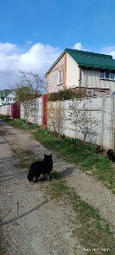 Продається дача! Для родинного відпочинку