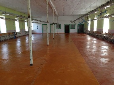 Продаж приміщення швейного цеху с. Батрадь
