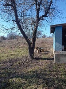 Дніпропетровська область, Дніпро, Самарський