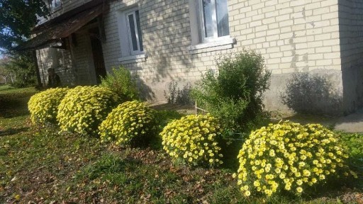 продаж будинку на березі водосховища (власний вихід до води) Рівненська обл. с. Шибин, вул. Застав'я