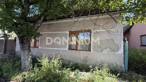 Закарпатська область, Тячів