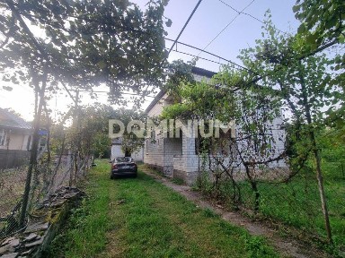 Закарпатська область, Іза